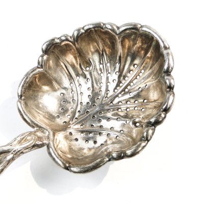 Art Nouveau Polish Pickling Spoon by Bros. Buch, 1890s-BKO-1801382