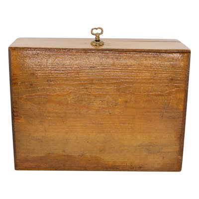 Art Nouveau Walnut Casket-WFJ-1056958