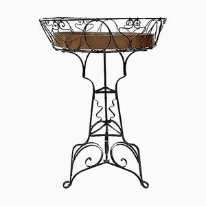 Art Nouveau Wrought Iron Plant Table with Copper Tray, 1900s-UCH-1224539