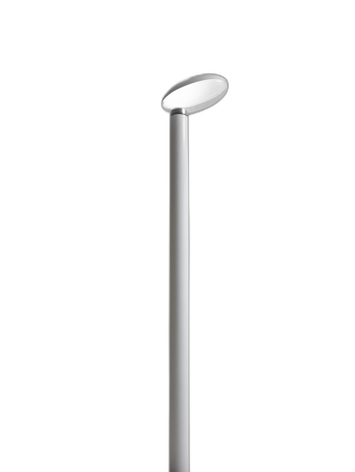 Artemide Poto LED Pole Lamp - 전체 모습