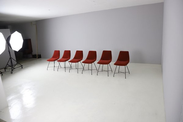 Aster Dining Chairs by Augusto Bozzi for Fratelli Saporiti, 1958, Set of 6-DXL-1447604