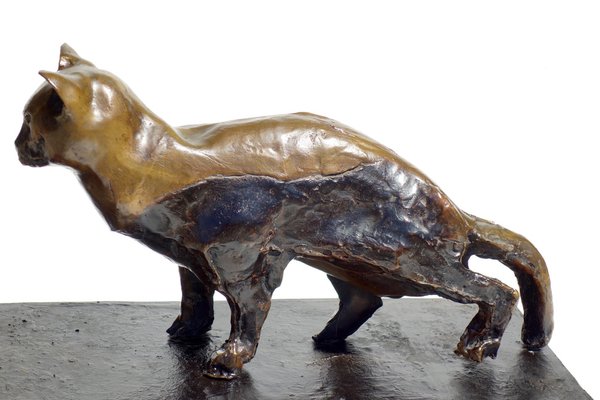 Augusto Perez, Cat Sculpture, 1970s, Bronze-KGD-1740576