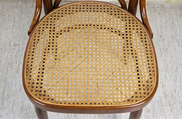 Austrian Art Nouveau Chairs with Table in Bentwood from Thonet, 1915, Set of 5-TQA-1385914