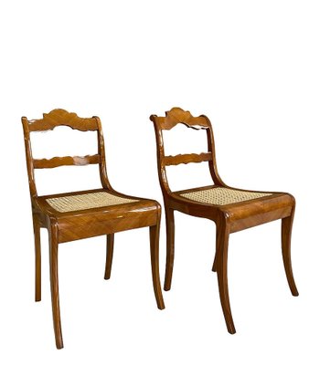 Austrian Biedermeier Dining Chairs, Early 19th Century, Set of 2-WZF-958259