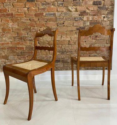 Austrian Biedermeier Dining Chairs, Early 19th Century, Set of 2-WZF-958259