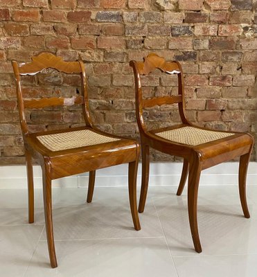 Austrian Biedermeier Dining Chairs, Early 19th Century, Set of 2-WZF-958259