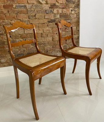 Austrian Biedermeier Dining Chairs, Early 19th Century, Set of 2-WZF-958259