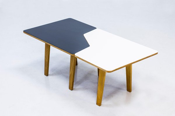 B14 Multi Table by Cees Braakman for Pastoe, 1950s-KO-635098