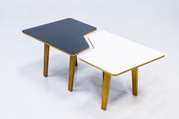 B14 Multi Table by Cees Braakman for Pastoe, 1950s-KO-635098