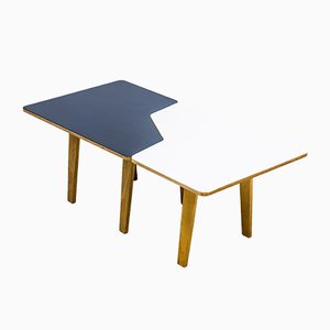 B14 Multi Table by Cees Braakman for Pastoe, 1950s-KO-635098