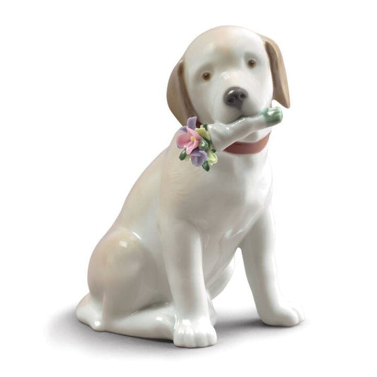 This Bouquet Is for You Dog Figurine by Lladró