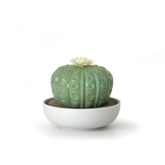 Astrophytum Cactus Diffuser by Lladró #Gardens of Valencia Scent