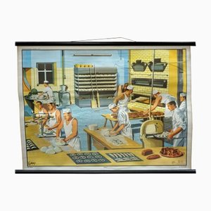 Backery D.lordey Rollable Poster Print Wall Chart-KJP-1149173