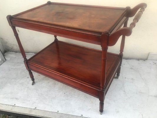 Bar on Wheels with Marquetry, 1950s-WQQ-1438645