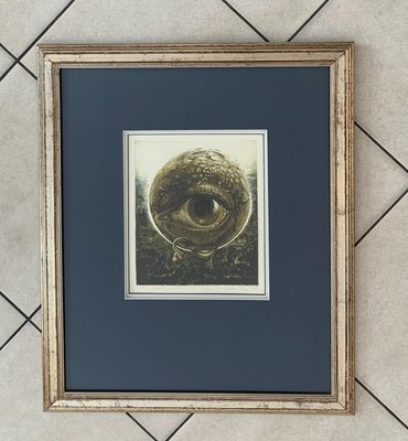 Barbara Rosiak, An Eye, 1985-XHG-930488