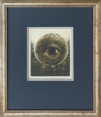 Barbara Rosiak, An Eye, 1985-XHG-930488