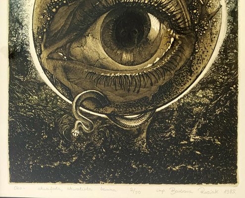 Barbara Rosiak, An Eye, 1985-XHG-930488