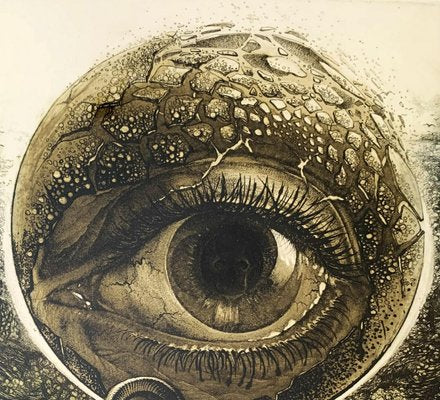 Barbara Rosiak, An Eye, 1985-XHG-930488