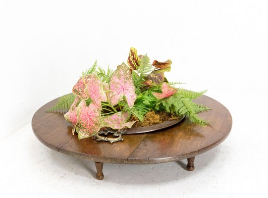 Basque Oak and Copper Brasero Planter, Spain, 1800s-RIU-1329305