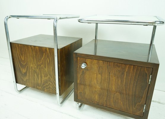 Bauhaus Bedside Tables with Steel Tube by Rudolf Vichr, Set of 2-FHJ-1297396