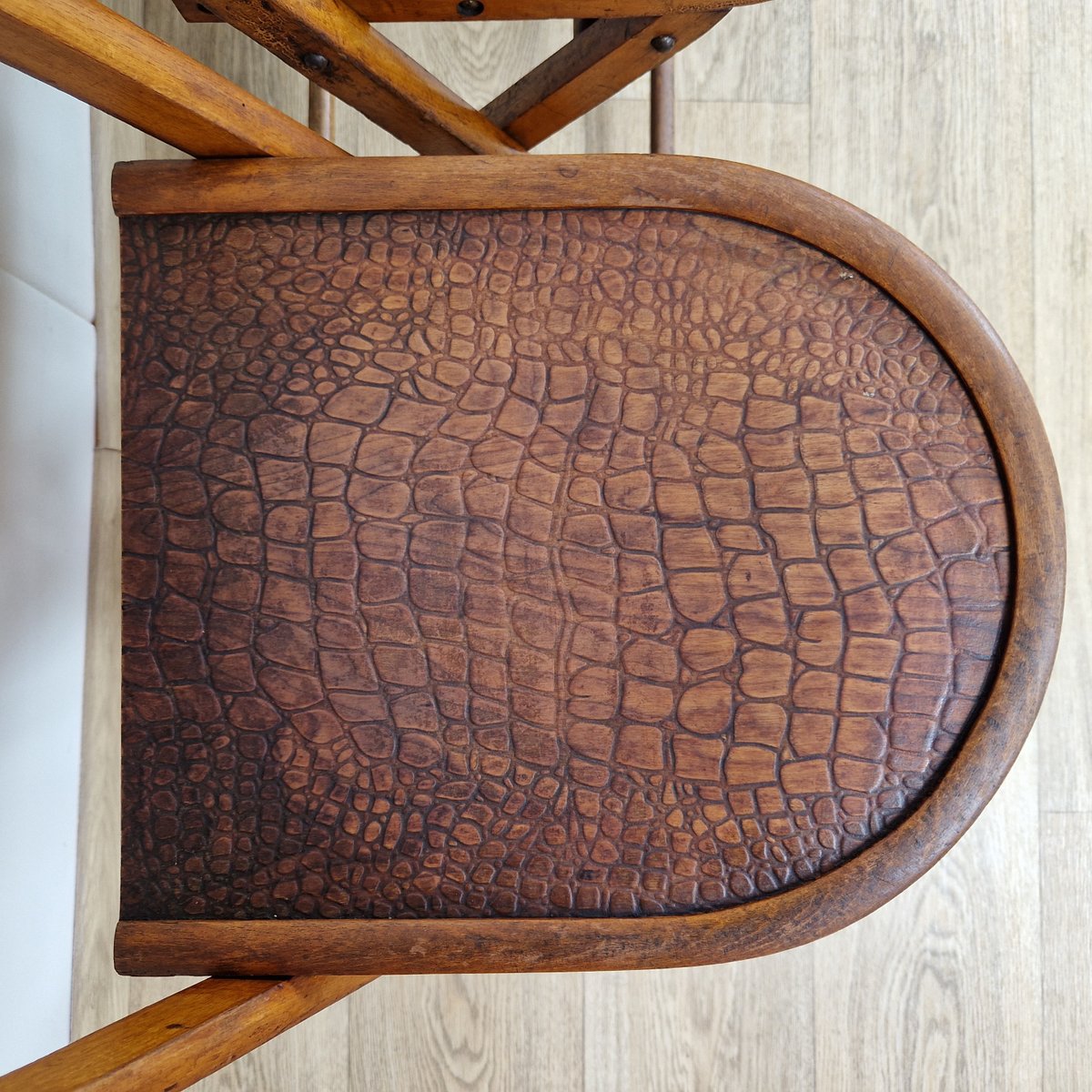 Bauhaus Folding Chairs with Crocodile Pattern by Luterma, 1920s, Set of 5