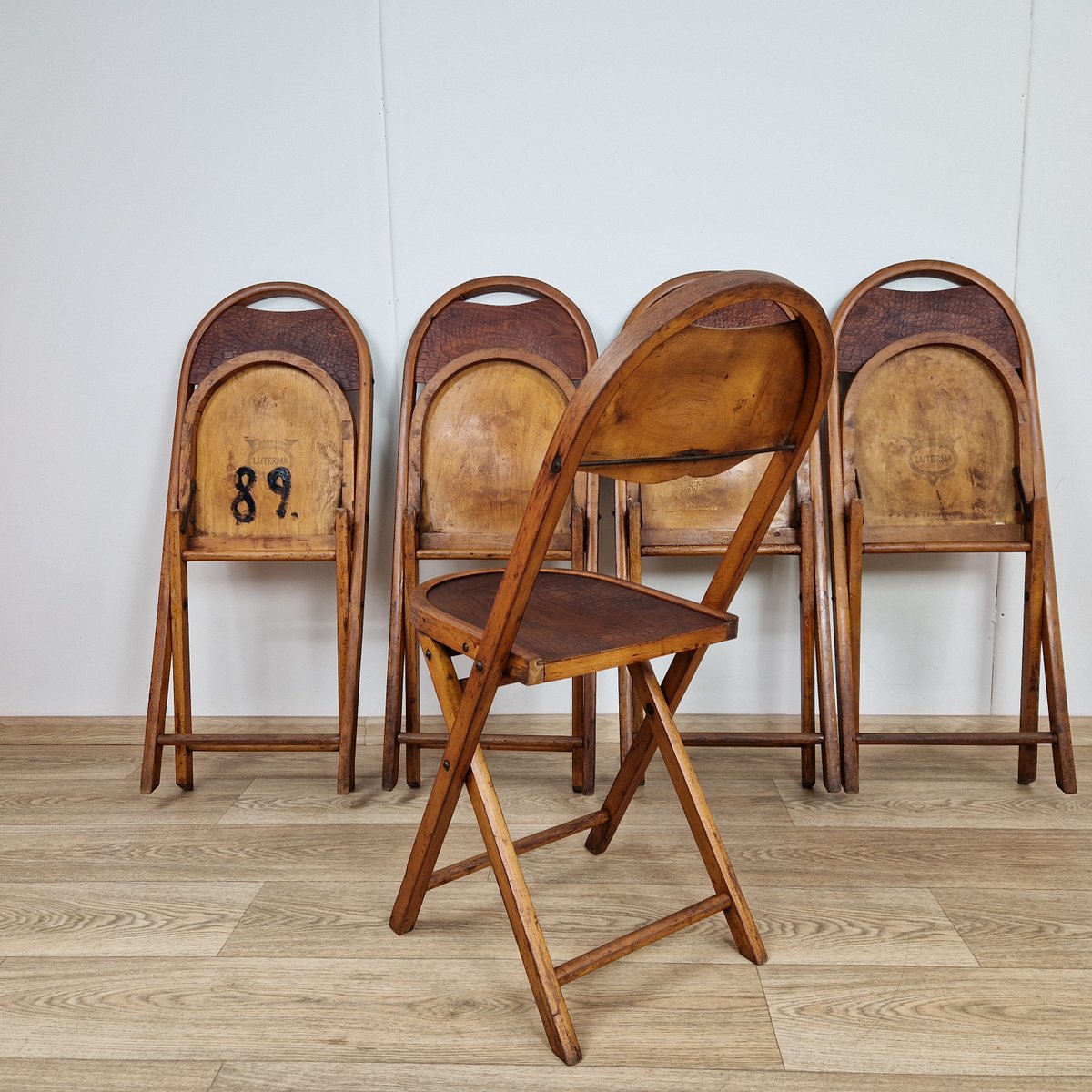 Bauhaus Folding Chairs with Crocodile Pattern by Luterma, 1920s, Set of 5