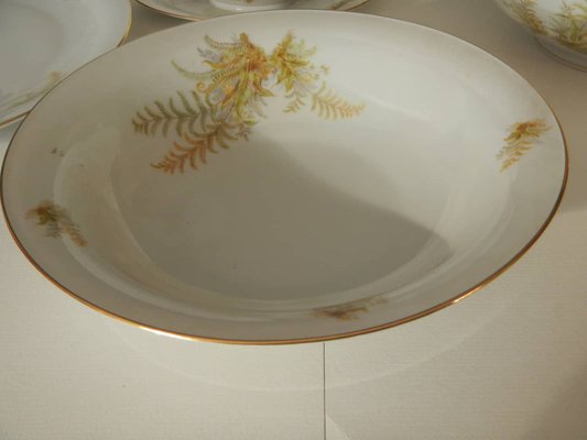 BAVARIA Tirschenreuth Dinner Plate and Tureen Set, 1970s, Set of 6-WWQ-1451062