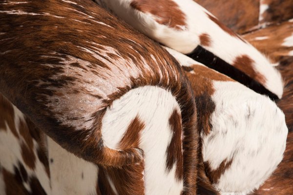 Baxter Brown and White Cow Fur Leather Sofa with Pillows, Italy, 1990s-XDW-1801542