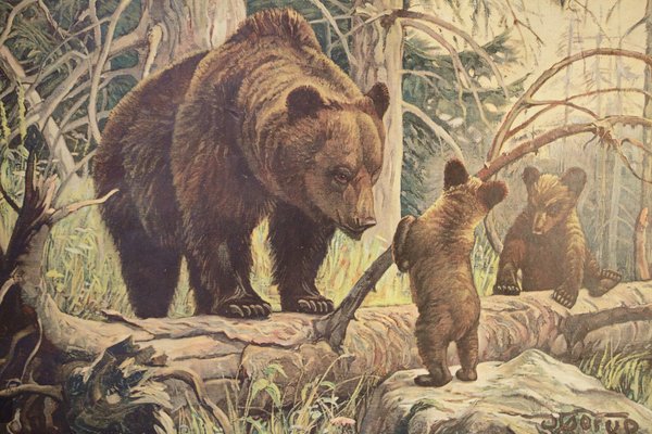 Bear and Cubs School Poster, 1920s-IND-1419490