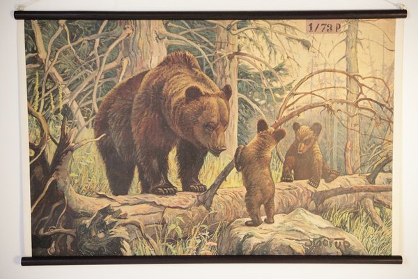 Bear and Cubs School Poster, 1920s-IND-1419490