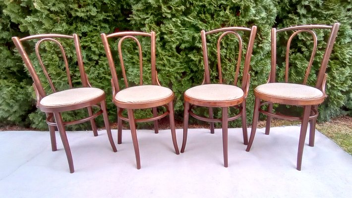 Beech Bentwood Chairs from Tatra, 1960s, Set of 4-VIC-1816031