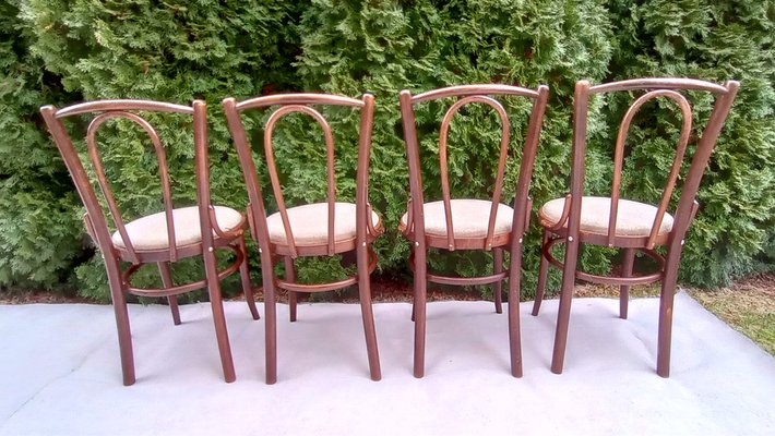 Beech Bentwood Chairs from Tatra, 1960s, Set of 4-VIC-1816031