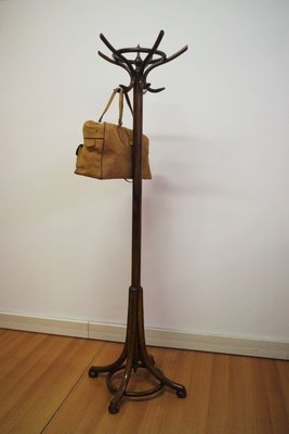 Beech Coat Stand, 1940s-KNM-895636