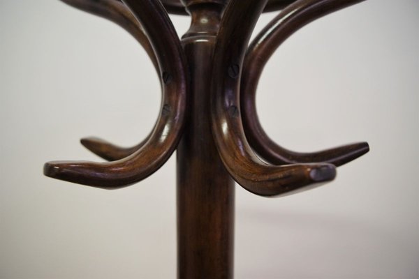 Beech Coat Stand, 1940s-KNM-895636