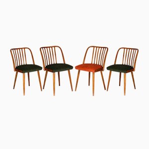 Beech Dining Chairs from Ton, 1960s, Set of 4-WVS-2040971