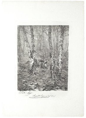 Beeches Etching on Paper by Augusto Sezanne-ZCI-765177