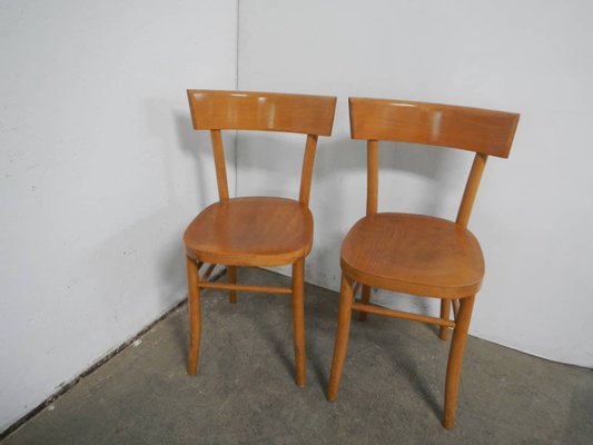 Beechwood Chair, 1950s, Set of 2-WWQ-1361223