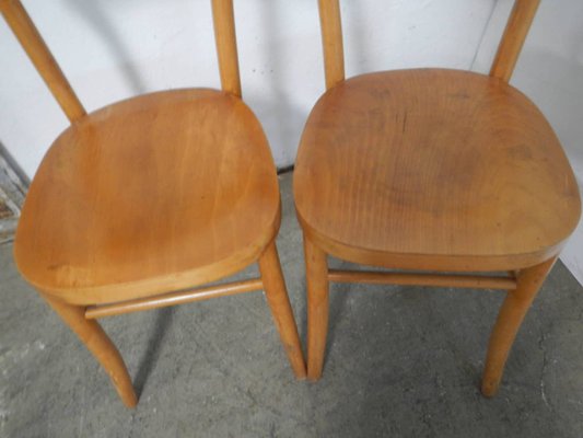 Beechwood Chair, 1950s, Set of 2-WWQ-1361223