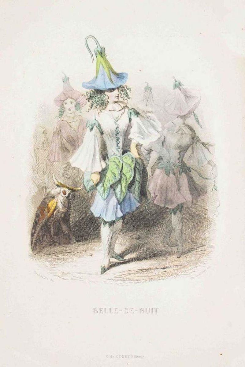 Belle-de-Nuit - Les Fleurs Animées Vol.I - Litho by J.J. Grandville - 1847 1847