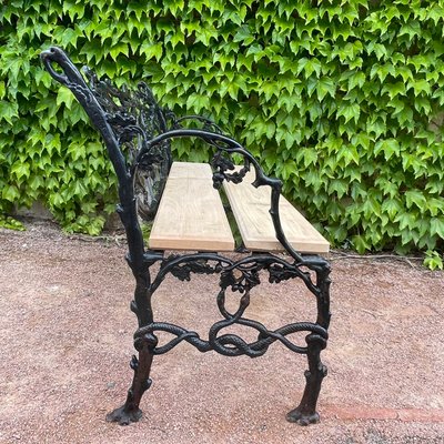 Bench in Cast Iron with Decor of Branches and Snakes, 1900-SDV-1335331