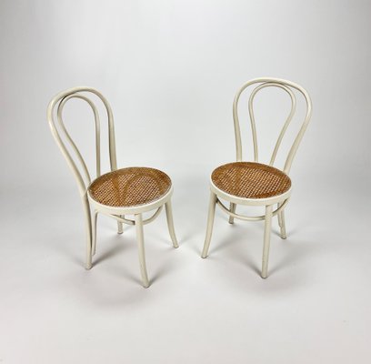 Bentwood and Cane Dining Chairs from ZPM Radomsko, 1960s, Set of 2-RMX-1444506