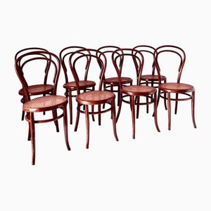 Bentwood and Cane Dining Chairs, Joseph Hofmann, Austria 1900s, Set of 8-TOI-1785487