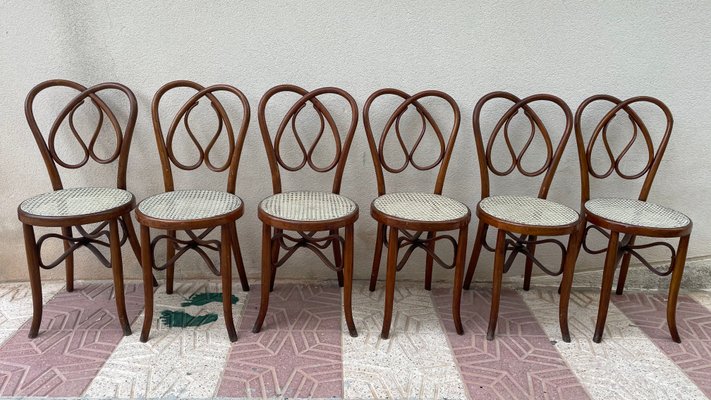 Bentwood Chairs, 19th Century, Set of 6-SDV-919728