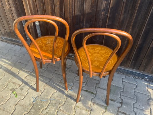 Bentwood Coffee House Chairs from Thonet, 1910s, Set of 2-NYZ-2018468