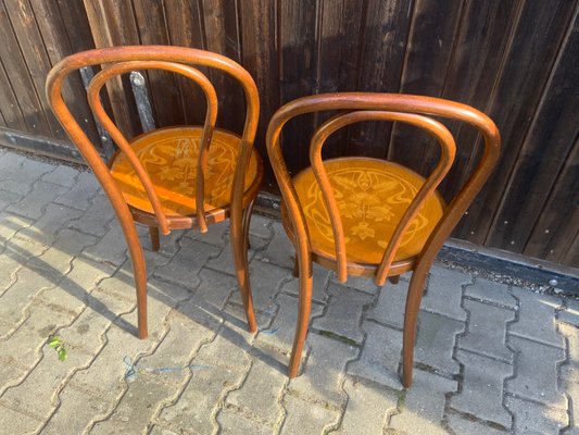 Bentwood Coffee House Chairs from Thonet, 1910s, Set of 2-NYZ-2018468