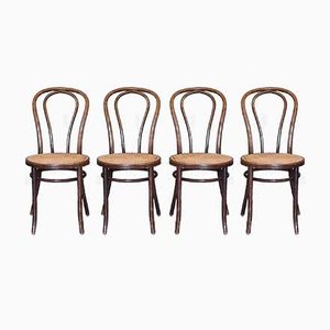 Bentwood No. 18 Chairs from ZPM Radomsko, 1960s, Set of 4-SJU-846888