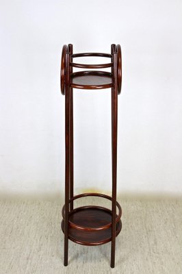 Bentwood Plant Stand from Thonet, Austria, 1905-TQA-1322312