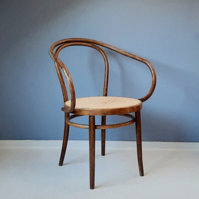 Bentwood & Rattan No. 209 Armchair from ZPM Radomsko, 1970s-SJU-1818626