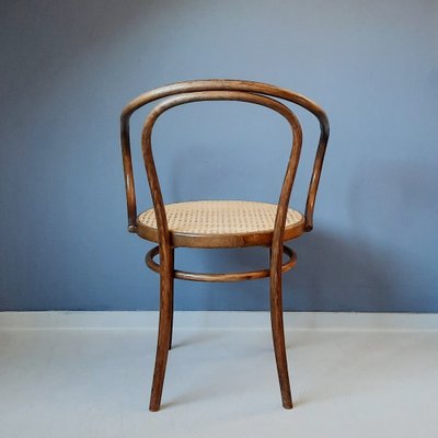 Bentwood & Rattan No. 209 Armchair from ZPM Radomsko, 1970s-SJU-1818626