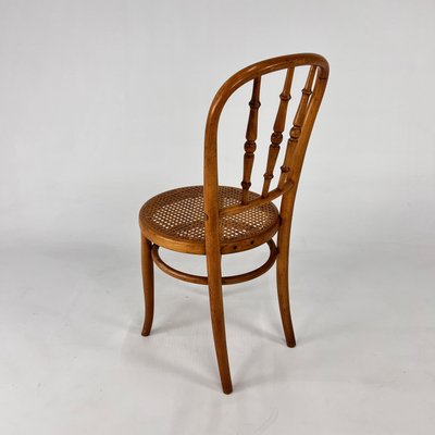 Bentwoord and Cane Chair from Thonet, 1940s-RMX-2021221